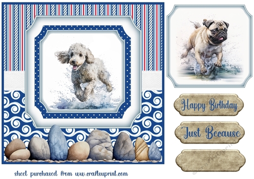 Running in the water dog card front 8