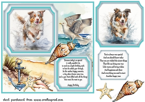 Dog running in water card front 1