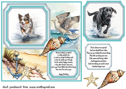 Dog running in water card front 2