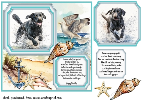 Dog running in water card front 3