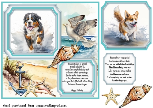 Dog running in water card front 4
