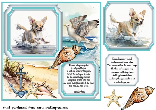 Dog running in water card front 5