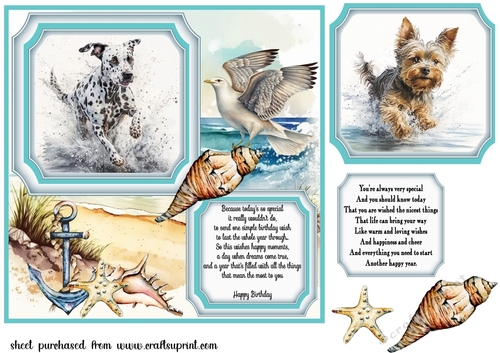 Dog running in water card front 6