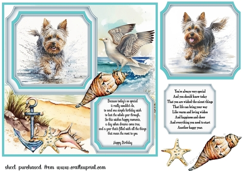 Dog running in water card front 7