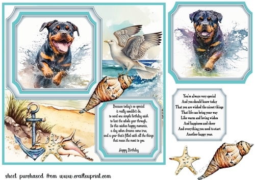 Dog running in water card front 8