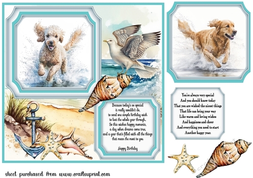 Dog running in water card front 9