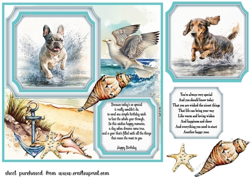 Dog running in water card front 10