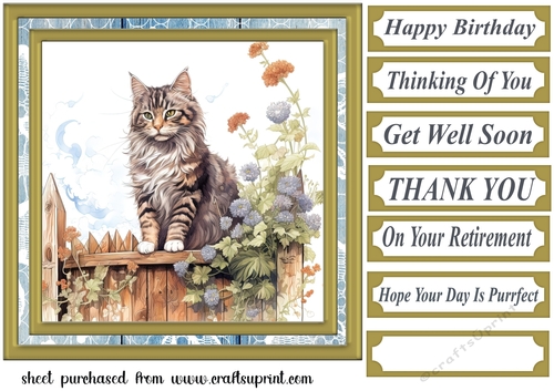 Cat on fence card front 1