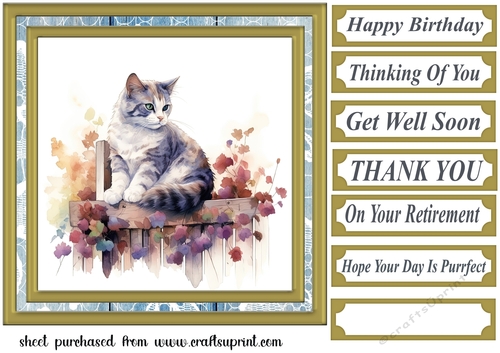 Cat on fence card front 2