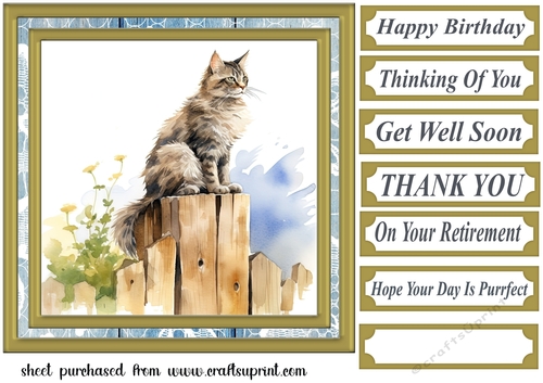 Cat on fence card front 3