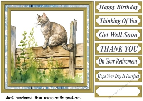 Cat on fence card front 5