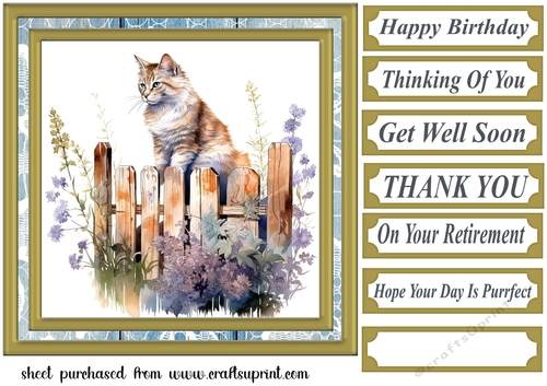 Cat on fence card front 6