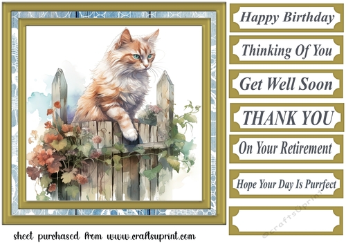 Cat on fence card front 7