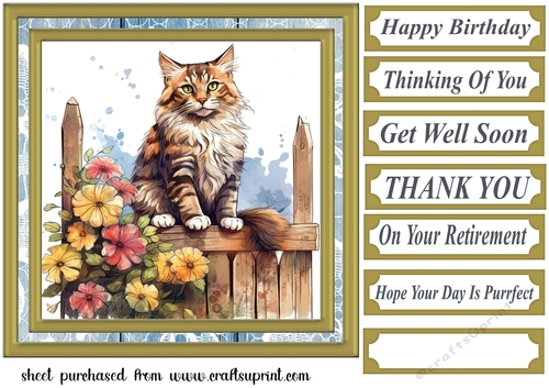 Cat on fence card front 8