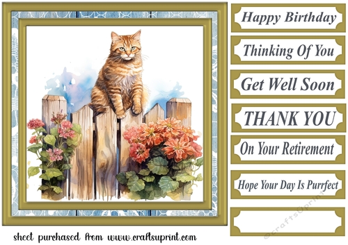 Cat on fence card front 9