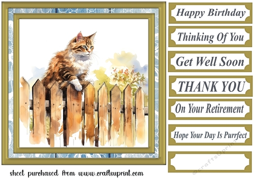 Cat on fence card front 10