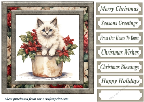 Framed Christmas kitty card front 1