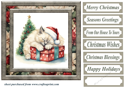 Framed Christmas kitty card front 3