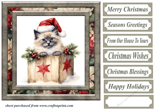 Framed Christmas kitty card front 4