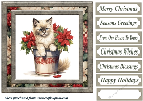 Framed Christmas kitty card front 5