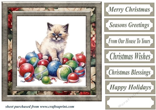 Framed Christmas kitty card front 6