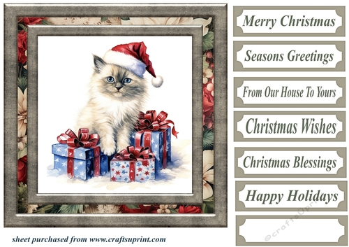 Framed Christmas kitty card front 7