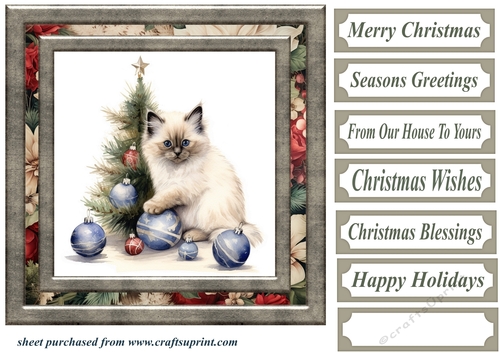 Framed Christmas kitty card front 8