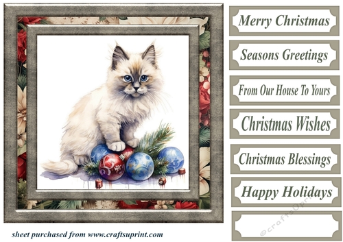 Framed Christmas kitty card front 10