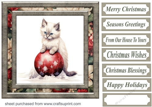 Framed Christmas kitty card front 11