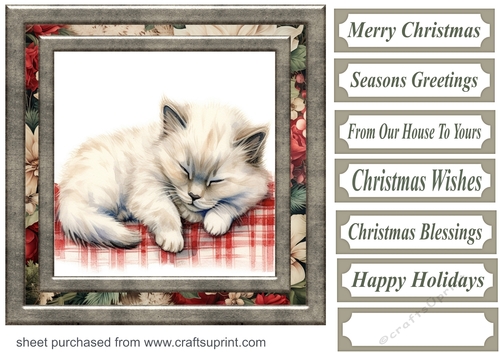 Framed Christmas kitty card front 12