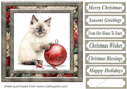 Framed Christmas kitty card front 13