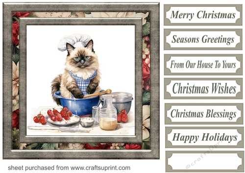 Framed Christmas kitty card front 14