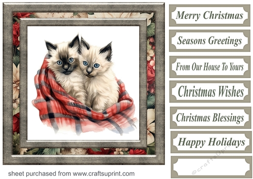 Framed Christmas kitty card front 17