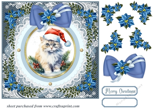 Blue Christmas cat card front 2