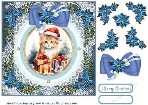 Blue Christmas cat card front 4
