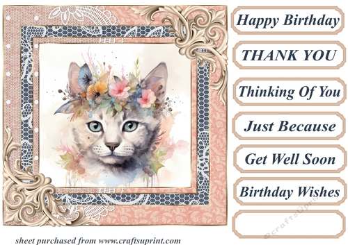 Framed floral cat card front 1