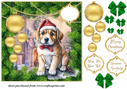 Has he been yet Christmas pup card front
