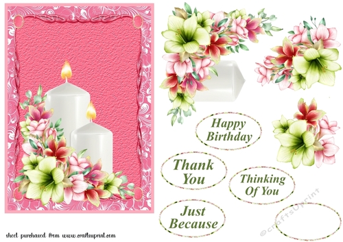 Amaryllis card front(5x7 aprox) 1
