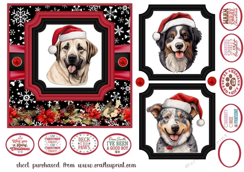 Hairy Christmas card front 2