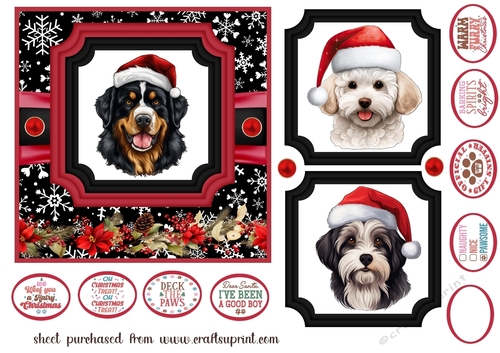 Hairy Christmas card front 4