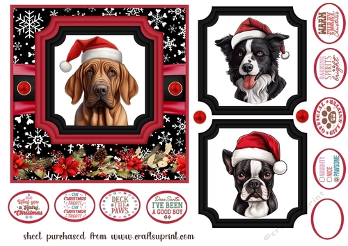Hairy Christmas card front 5