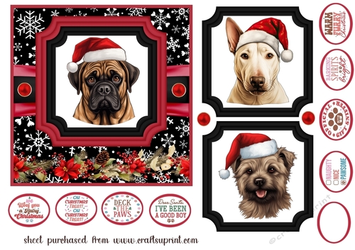 Hairy Christmas card front 7