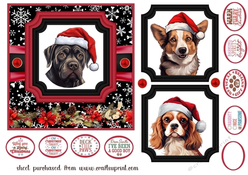 Hairy Christmas card front 8