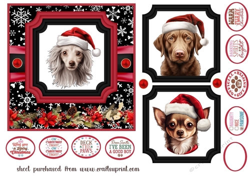 Hairy Christmas card front 9