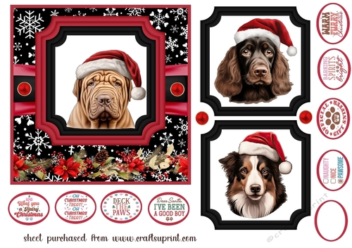 Hairy Christmas card front 10