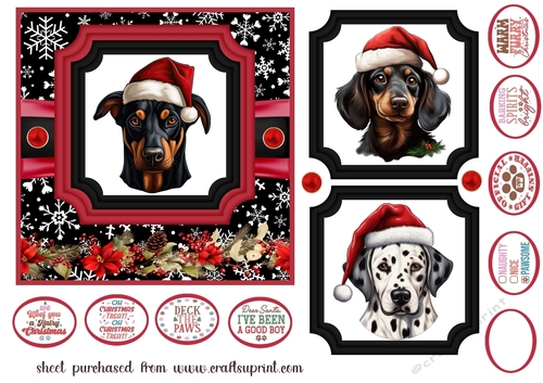 Hairy Christmas card front 11