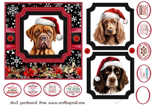 Hairy Christmas card front 12