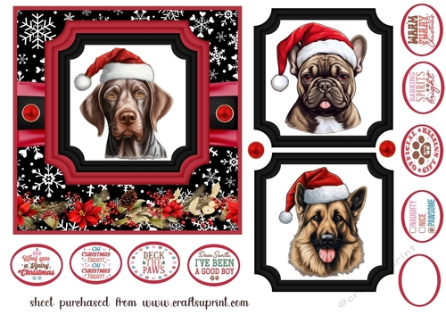 Hairy Christmas card front 13