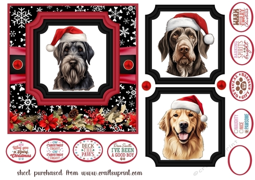 Hairy Christmas card front 14