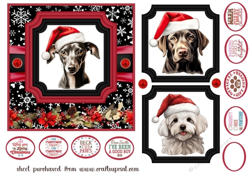 Hairy Christmas card front 16
